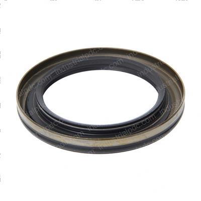 Picture of Seal - Lip