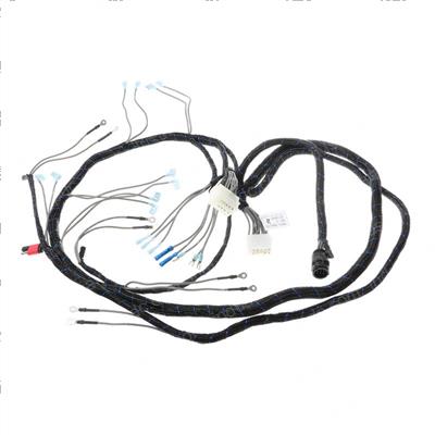 Picture of Wiring Harness