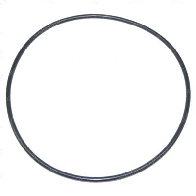 Picture of O-Ring