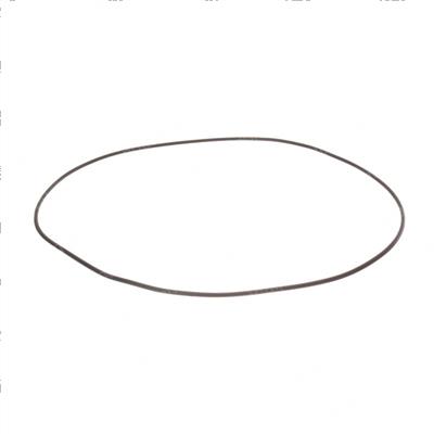 Picture of O-Ring