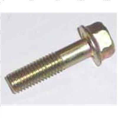 Picture of Bolt