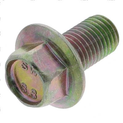 Picture of Capscrew