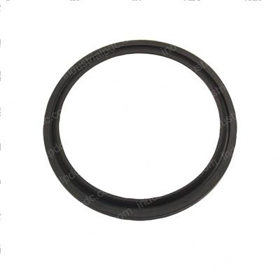 Picture of Seal - Oil