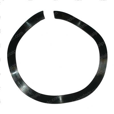 Picture of Washer - Spring