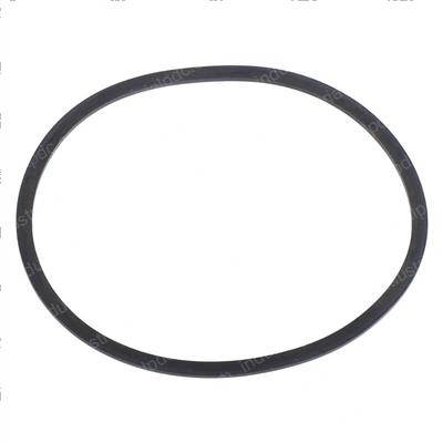 Picture of O-Ring