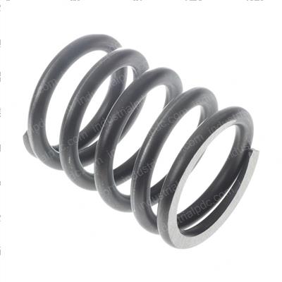 Picture of Spring Piston R