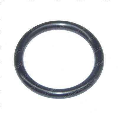 Picture of O-Ring