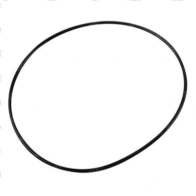 Picture of O-Ring