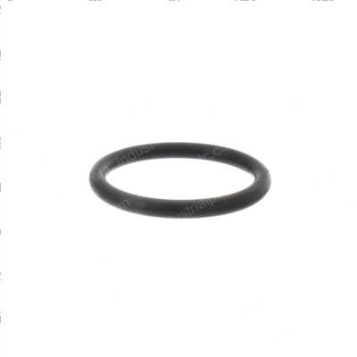 Picture of O-Ring