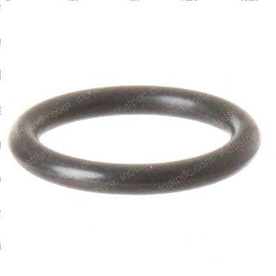 Picture of O-Ring