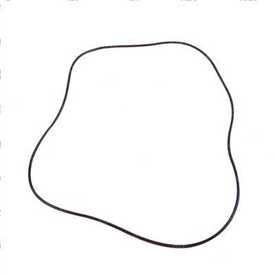 Picture of O-Ring