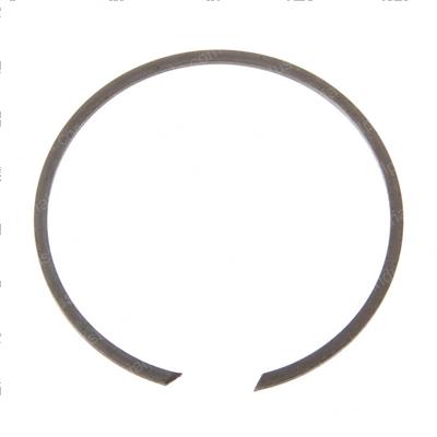Picture of Retainer Rin