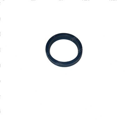 Picture of Ring - Wiper