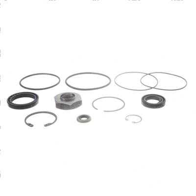 Picture of Seal Kit -  Cylinder Overhaul