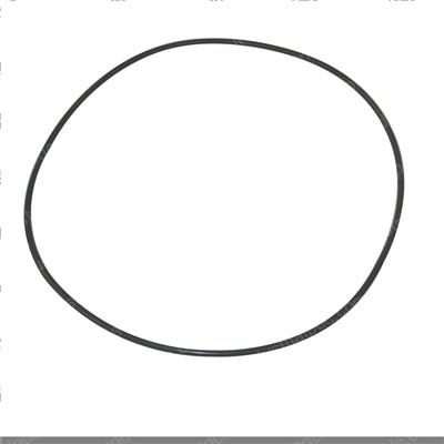 Picture of O-Ring