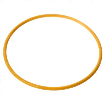 Picture of O-Ring