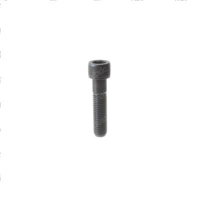 Picture of Bolt