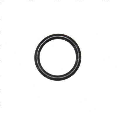 Picture of O-Ring