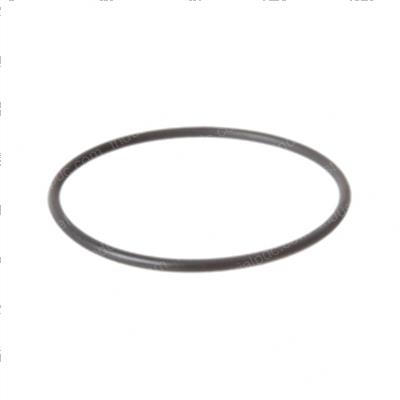 Picture of O-Ring