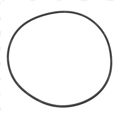 Picture of O-Ring