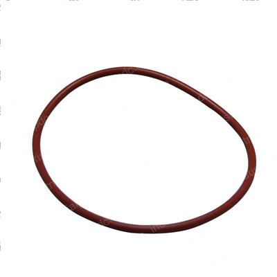 Picture of O-Ring