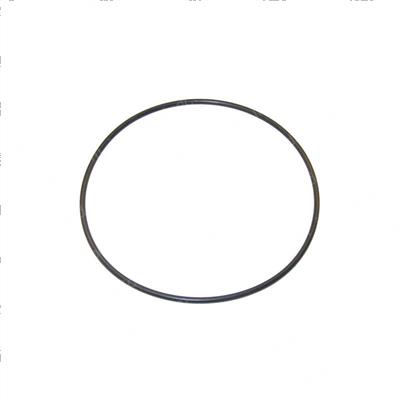 Picture of O-Ring