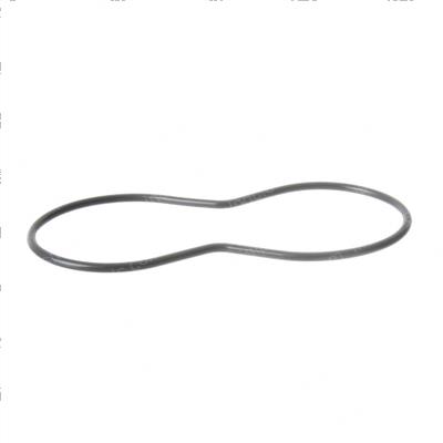 Picture of O-Ring