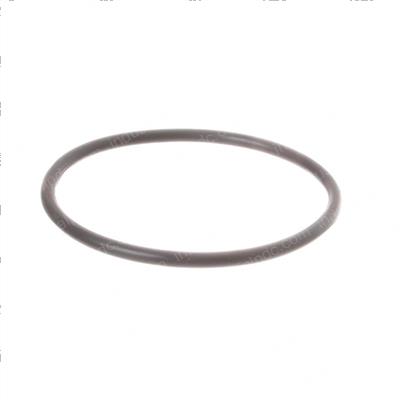 Picture of O-Ring