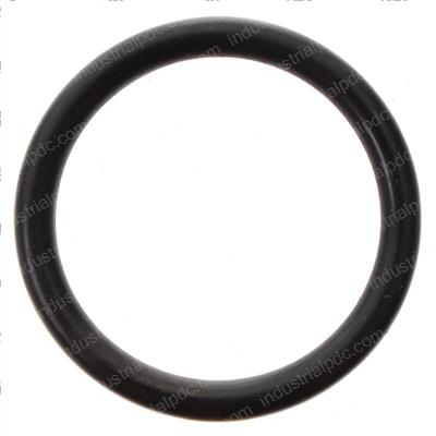 Picture of O-Ring