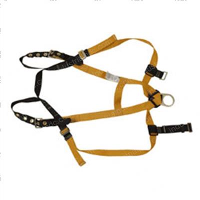 Picture of Harness - Full Body Lg/Xlg