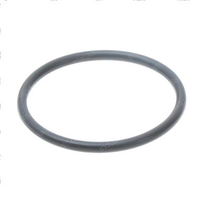Picture of O-Ring