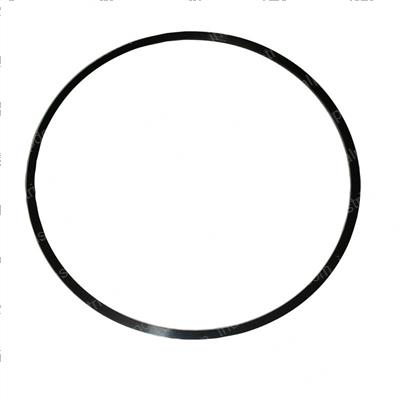 Picture of Ring - Back Up