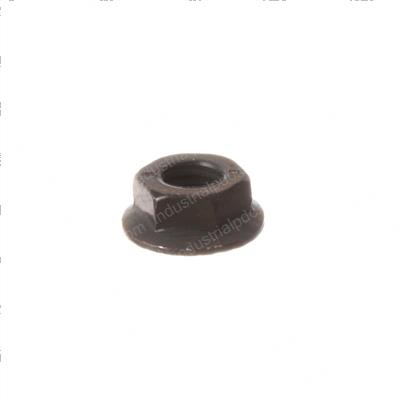 Picture of Nut
