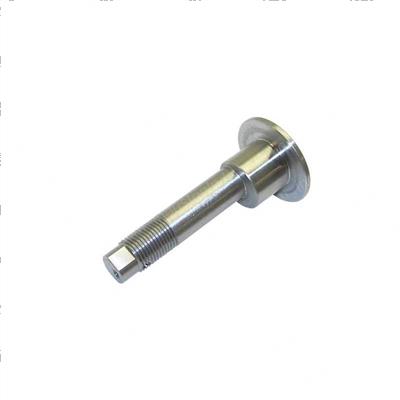 Picture of Bolt