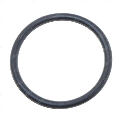 Picture of O-Ring