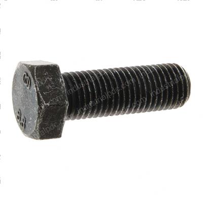 Picture of M20x60 Lg Hx Hd Screw