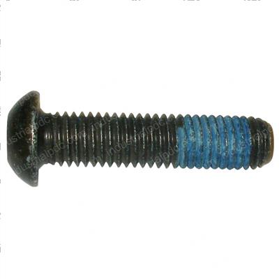 Picture of Screw