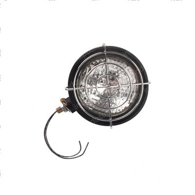 Picture of Light - 24 Volt With Guard