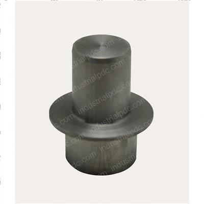 Picture of Pivot Pin and Bushing Kit