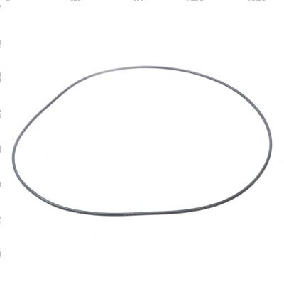 Picture of O-Ring
