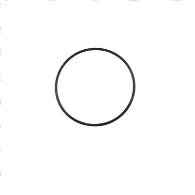Picture of O-Ring
