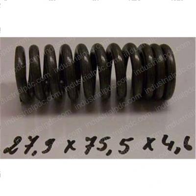 Picture of Spring - Caster