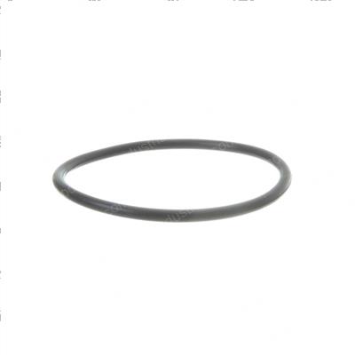 Picture of O-Ring