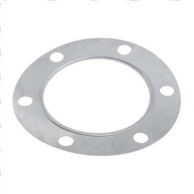 Picture of Gasket