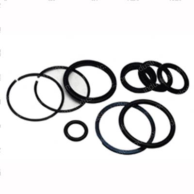 Picture of Seal Kit - Packing