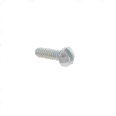 Picture of Screw #4