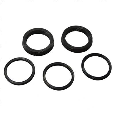 Picture of Seal Kit - Hydraulic Cylinder