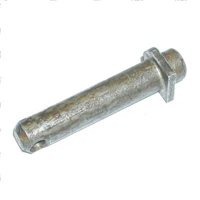 Picture of Pin