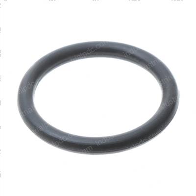 Picture of O-Ring