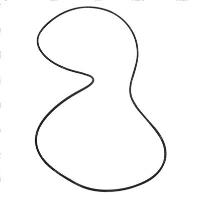 Picture of O-Ring